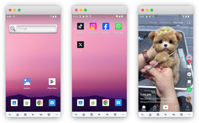 DuoPlus云手机TikTok页面